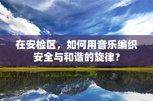 在安检区，如何用音乐编织安全与和谐的旋律？