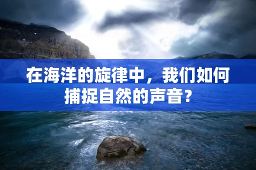 在海洋的旋律中，我们如何捕捉自然的声音？